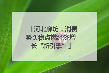 河北廊坊：消费势头稳点燃经济增长“新引擎”