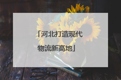 河北打造现代物流新高地