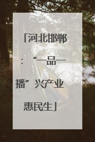 河北邯郸：“一品一播”兴产业惠民生