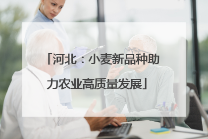 河北：小麦新品种助力农业高质量发展
