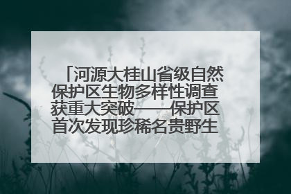 河源大桂山省级自然保护区生物多样性调查获重大突破——保护区首次发现珍稀名贵野生干巴菌与钝尾两头蛇