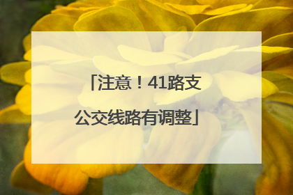 注意！41路支公交线路有调整