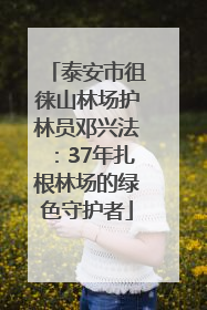 泰安市徂徕山林场护林员邓兴法：37年扎根林场的绿色守护者