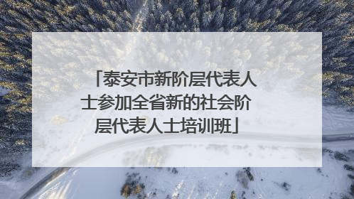 泰安市新阶层代表人士参加全省新的社会阶层代表人士培训班
