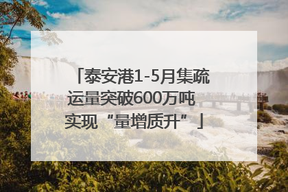 泰安港1-5月集疏运量突破600万吨 实现“量增质升”