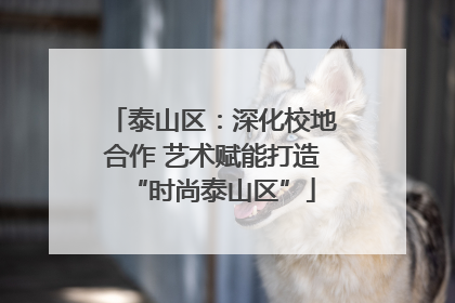 泰山区：深化校地合作 艺术赋能打造“时尚泰山区”