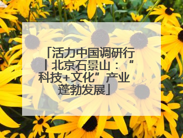 活力中国调研行丨北京石景山：“科技+文化”产业蓬勃发展