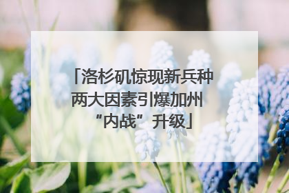 洛杉矶惊现新兵种 两大因素引爆加州“内战”升级