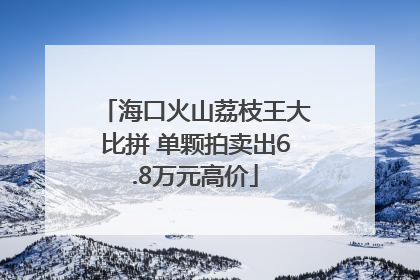 海口火山荔枝王大比拼 单颗拍卖出6.8万元高价
