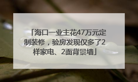 海口一业主花47万元定制装修，验房发现仅多了2样家电、2面背景墙