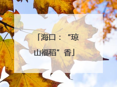 海口：“琼山福稻”香
