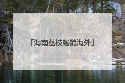 海南荔枝畅销海外