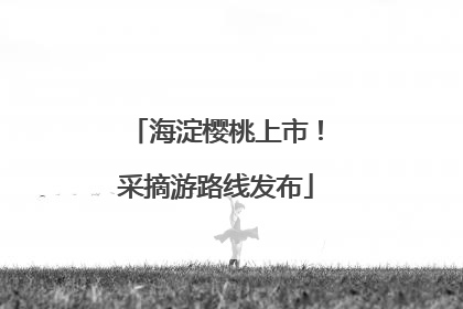 海淀樱桃上市！采摘游路线发布