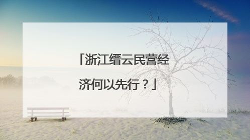 浙江缙云民营经济何以先行？