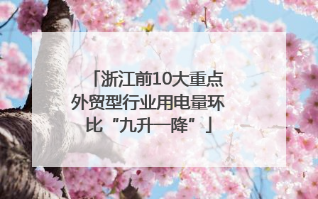 浙江前10大重点外贸型行业用电量环比“九升一降”