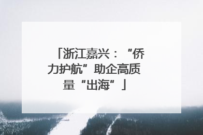 浙江嘉兴：“侨力护航”助企高质量“出海”