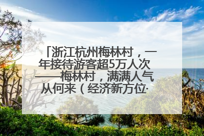 浙江杭州梅林村，一年接待游客超5万人次——梅林村，满满人气从何来（经济新方位·农村消费观察）