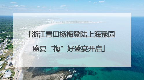 浙江青田杨梅登陆上海豫园 盛夏“梅”好盛宴开启
