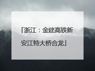 浙江：金建高铁新安江特大桥合龙