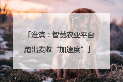 淮滨：智慧农业平台跑出麦收“加速度”