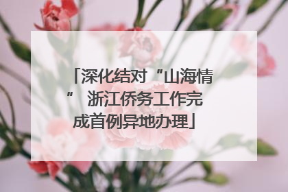 深化结对“山海情” 浙江侨务工作完成首例异地办理
