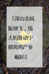 深山金凤振翅飞，钱大妈推动宁都黄鸡产业崛起