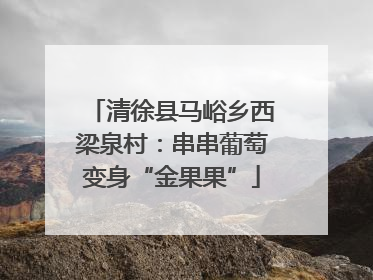 清徐县马峪乡西梁泉村：串串葡萄变身“金果果”