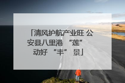 清风护航产业旺 公安县八里港 “莲” 动好 “丰” 景
