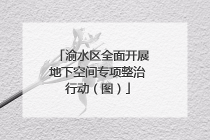 渝水区全面开展地下空间专项整治行动（图）