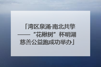 湾区泉涌·南北共擎——“花楸树”杯明湖慈善公益跑成功举办