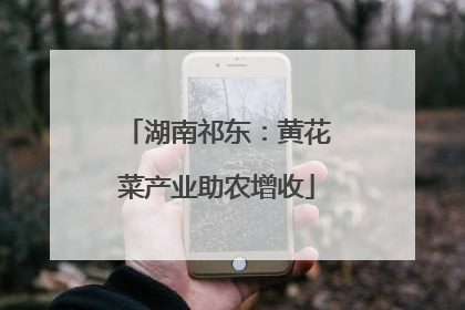 湖南祁东：黄花菜产业助农增收