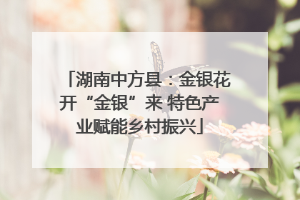 湖南中方县：金银花开“金银”来 特色产业赋能乡村振兴