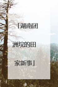 湖南团洲垸的田家新事