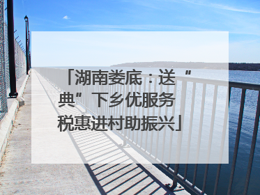 湖南娄底：送“典”下乡优服务 税惠进村助振兴