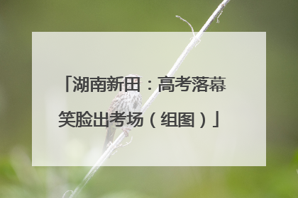 湖南新田：高考落幕 笑脸出考场（组图）