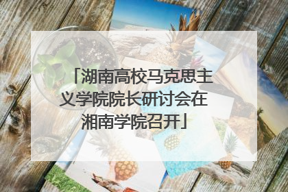 湖南高校马克思主义学院院长研讨会在湘南学院召开