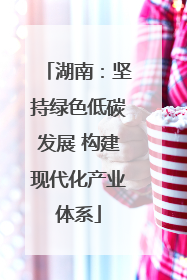湖南：坚持绿色低碳发展 构建现代化产业体系