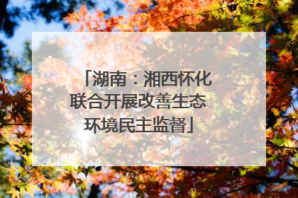 湖南：湘西怀化联合开展改善生态环境民主监督