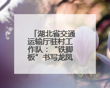 湖北省交通运输厅驻村工作队：“铁脚板”书写龙凤村幸福答卷