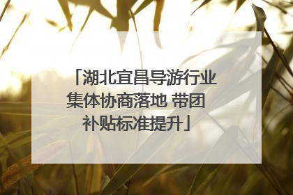 湖北宜昌导游行业集体协商落地 带团补贴标准提升