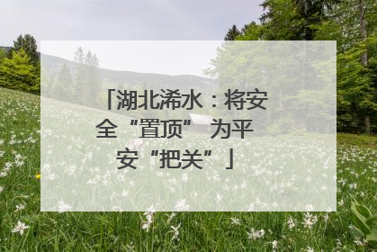 湖北浠水：将安全“置顶” 为平安“把关”