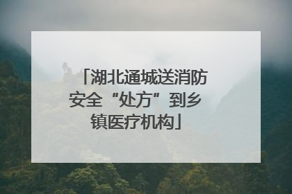 湖北通城送消防安全“处方”到乡镇医疗机构