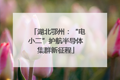 湖北鄂州：“电小二”护航半导体集群新征程