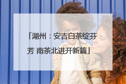 湖州：安吉白茶绽芬芳 南茶北进开新篇