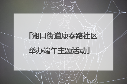 湘口街道康泰路社区举办端午主题活动