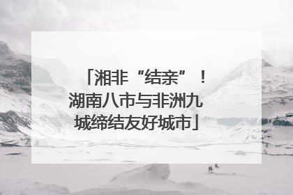 湘非“结亲”！湖南八市与非洲九城缔结友好城市