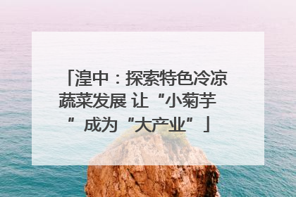 湟中：探索特色冷凉蔬菜发展 让“小菊芋”成为“大产业”