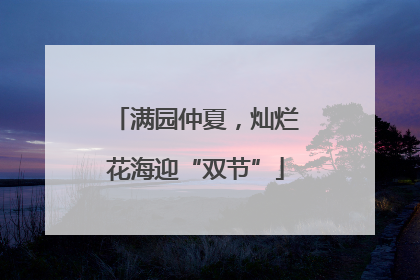 满园仲夏，灿烂花海迎“双节”