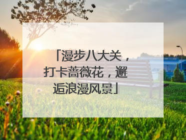 漫步八大关，打卡蔷薇花，邂逅浪漫风景