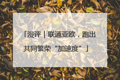 漫评｜联通亚欧，跑出共同繁荣“加速度”